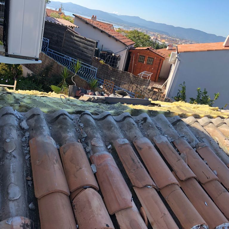 Installer un fil de cuivre sur son toit, pourquoi? 